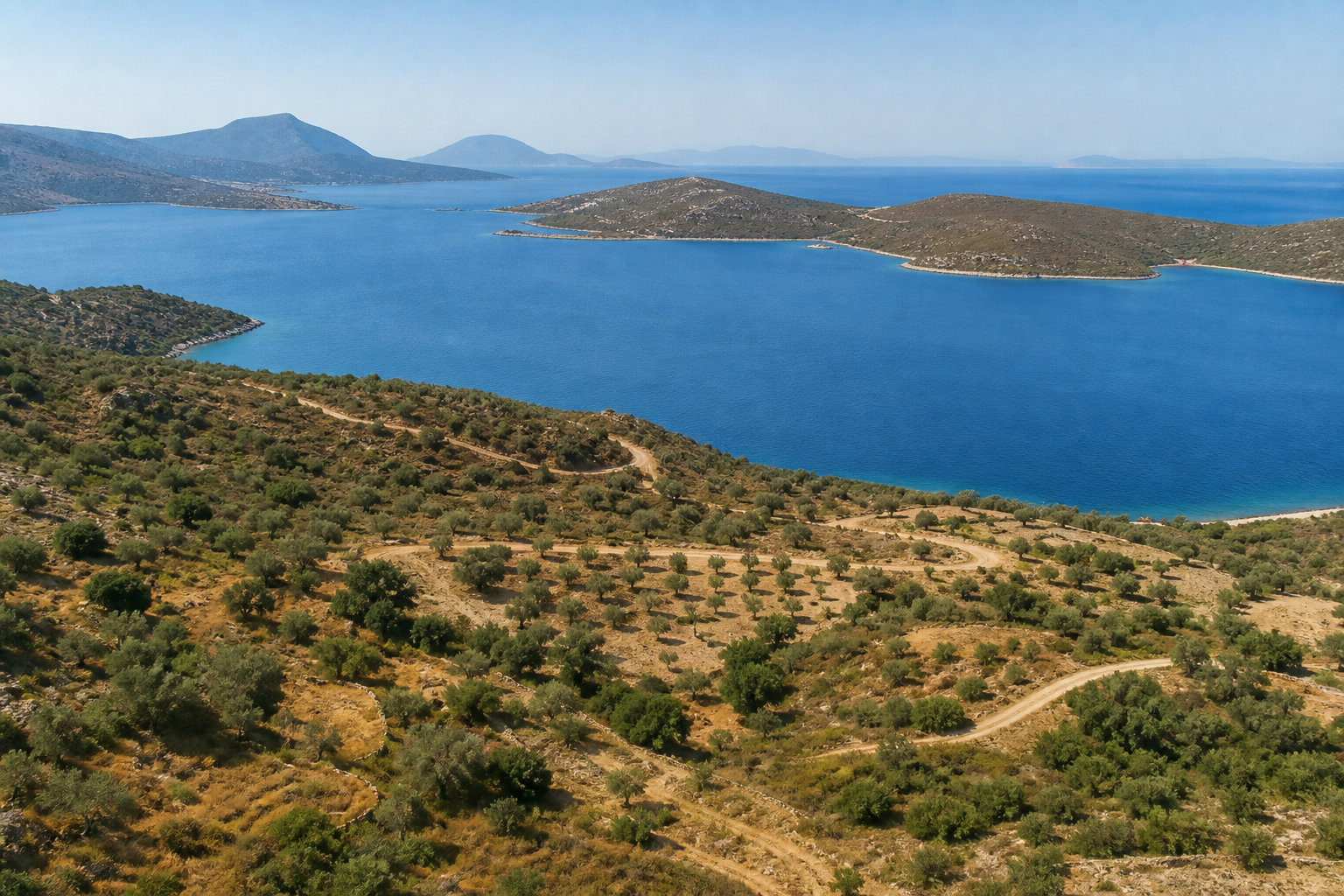 Muğla kıyı hattına yakın arazi ve zeytinlik