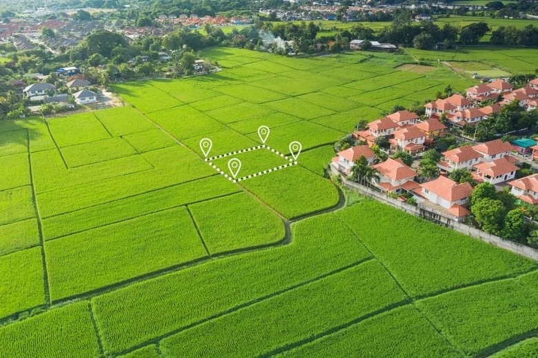 Bursa İznik’te Doğa İçinde Yatırımlık Arazi